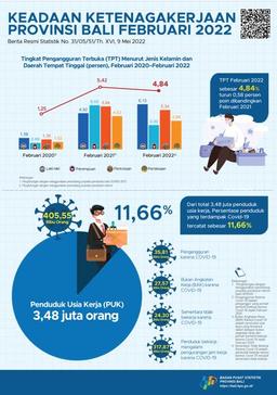 Employment Situation Of Bali Province February 2022