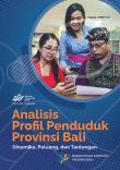 Bali Province Population Profile Analysis