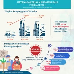 The State Of Manpower Of Bali Province February 2021