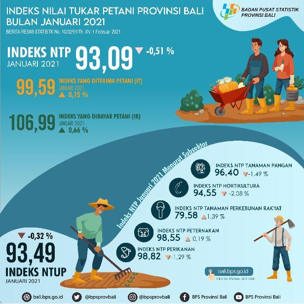 Perkembangan Indeks Nilai Tukar Petani Provinsi Bali Januari 2021