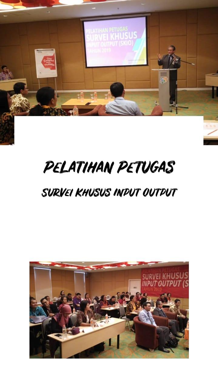 Pelatihan Survei Khusus Input Output