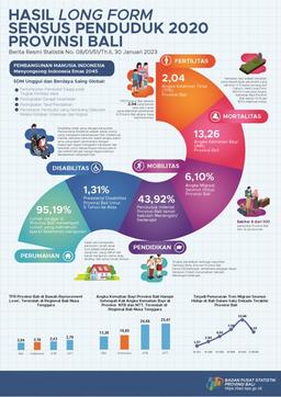 Results Of The 2020 Population Census Long Form For The Province Of Bali