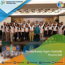 Pembekalan Agen Statistik