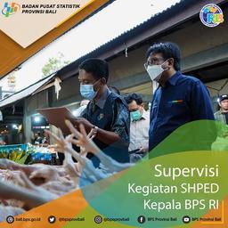 Supervisi Kegiatan SHPED Kepala BPS RI