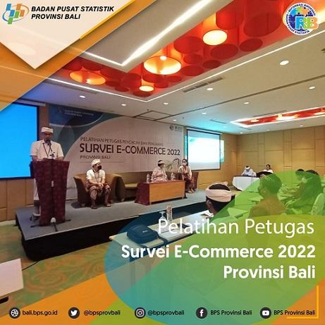 Pelatihan Petugas Survei E-Commerce 2022 Provinsi Bali 